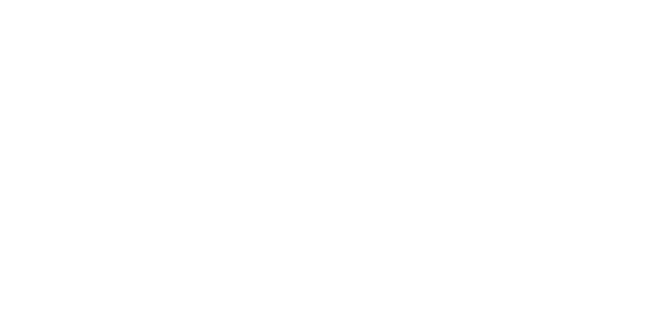 Barbara Bang