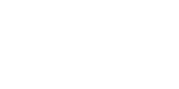 FastSpin