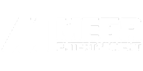 Mega Entertainment