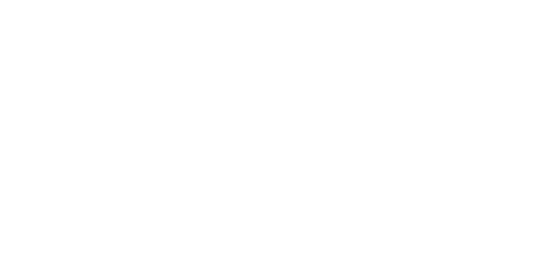 Yellow Bat